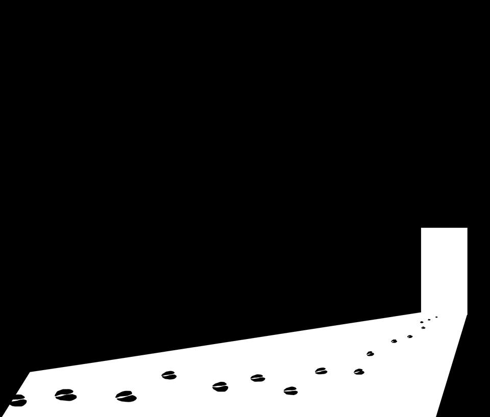 Livro O Causo do Boi Branco - Ilustração 6