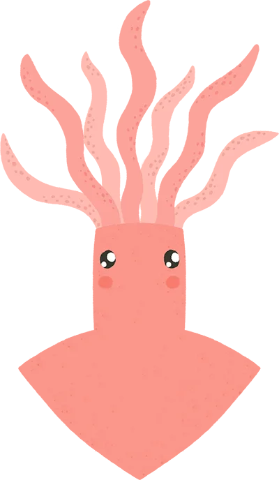Seta